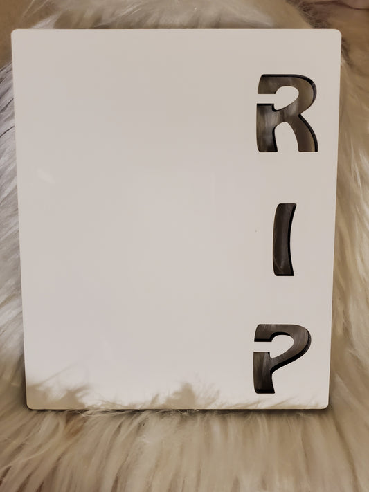 RIP(2) FRAMES