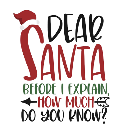 Santa Explain Kids Transfer