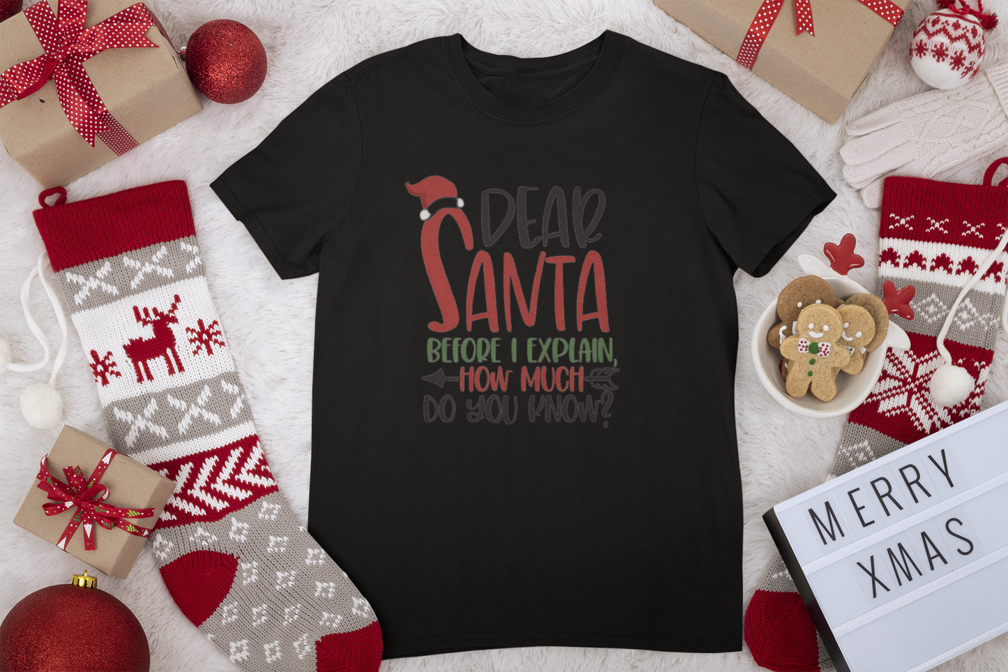 Santa Explain Kids Transfer